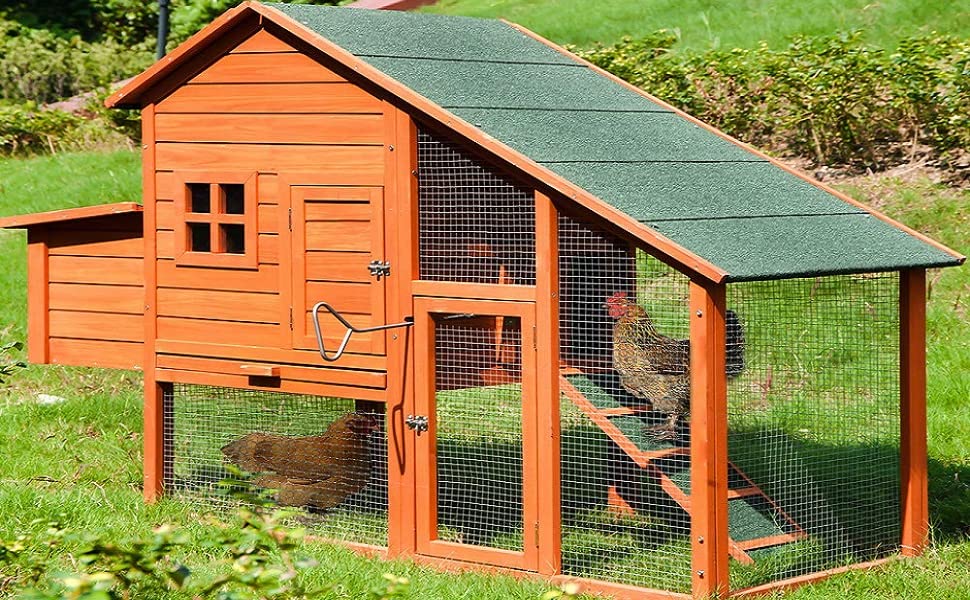 Best Chicken Coop? How to Choose the Right One