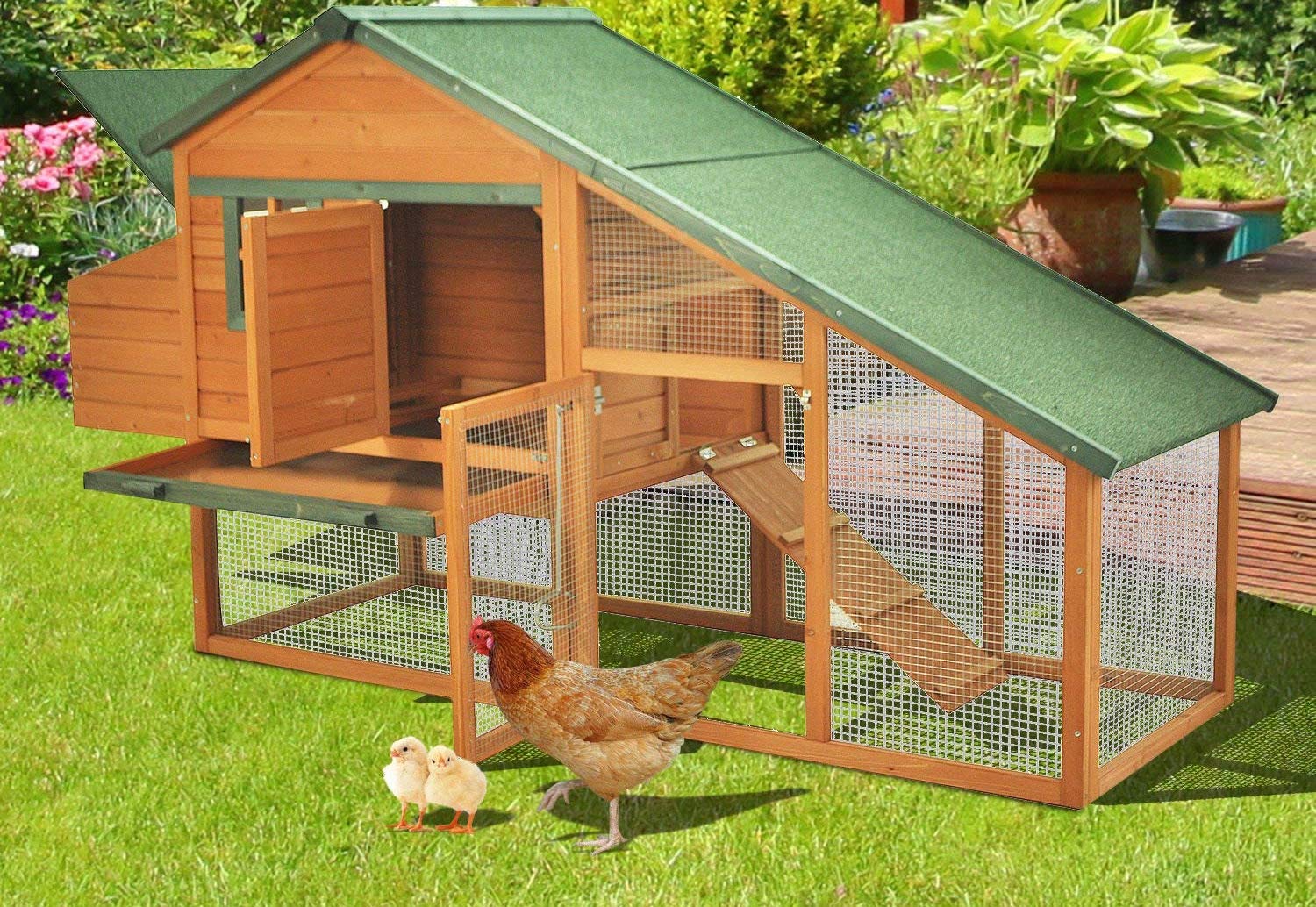 Chicken Coop Lighting: Why You Need One?