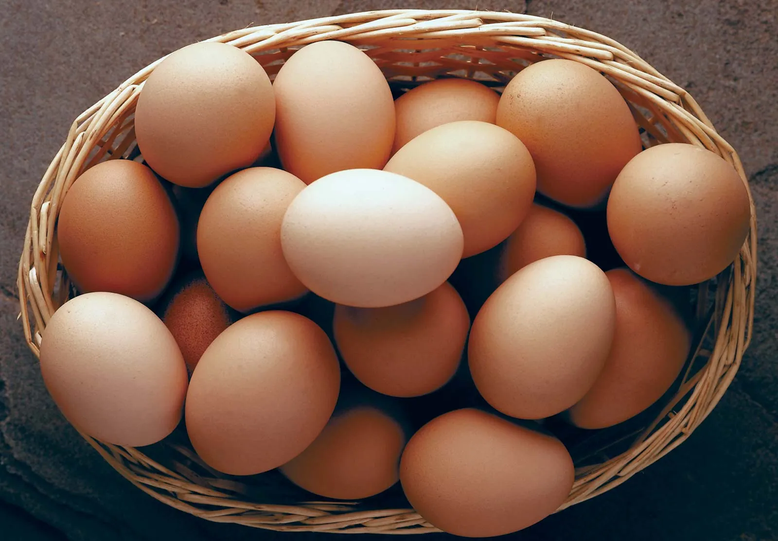 Is Chicken Egg Business Profitable in the Philippines?
