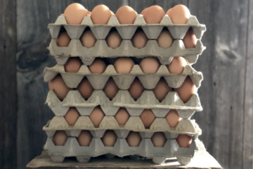 Is Chicken Egg Business Profitable in the Philippines?